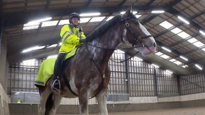 Policeman on horse