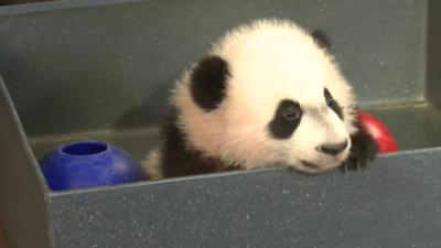 Bei Bei