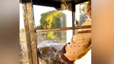 Bus driver reading newspaper while driving