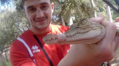 Wales players enjoy their day off with snakes and crocodiles in a local zoo.