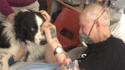 Dying man with his dog