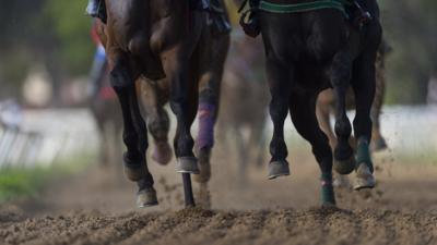 Horses hooves on a race track