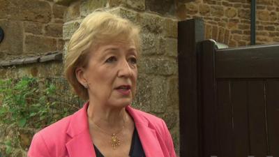 Andrea Leadsom speaking in Sky pool clip