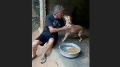 How do you feed 100 stray dogs in Kerala?