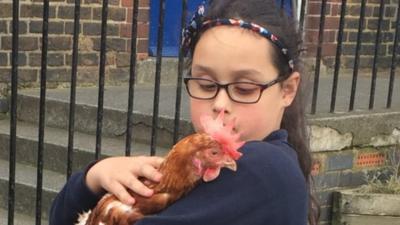 Girl with chicken