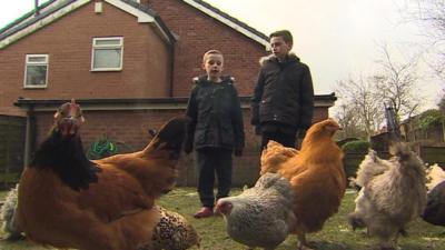 The boys shown in their graden surrounded by hens