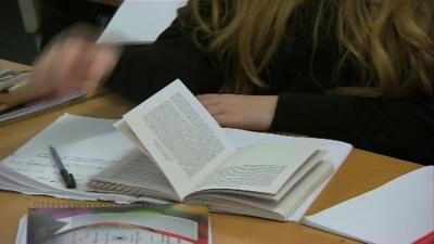 A pupil studying during a lesson