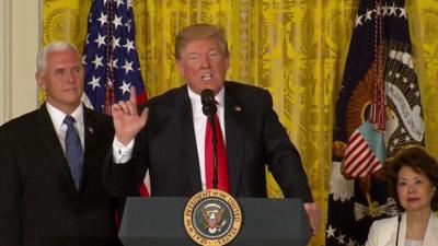 Donald Trump at the podium (18 June)