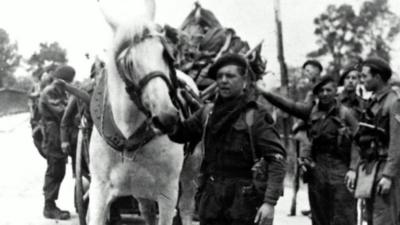 George the horse helping the Commandos on D-Day.