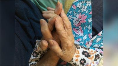Hands