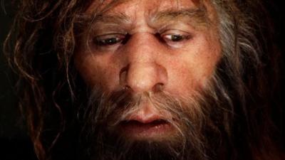 Painting of a Neanderthal
