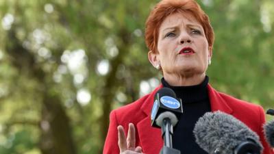 Pauline Hanson, speaks during a news conference in Brisbane, Australia, July 4, 2016.