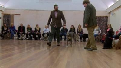 Dog auditions