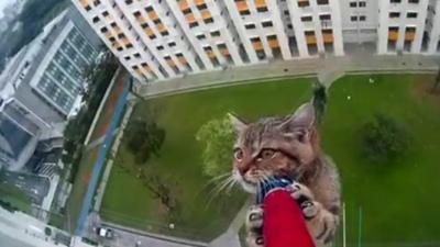 Don't look down Meow