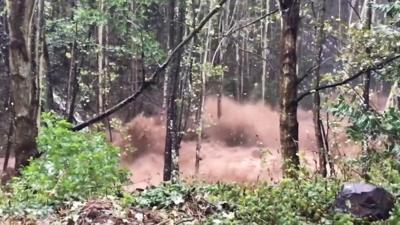 Trees washed away in torrent of water