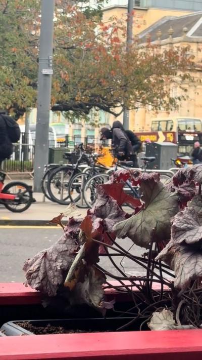 Man sawing bike with black hood on. There are leaves in front of him, blocking part of the bike.