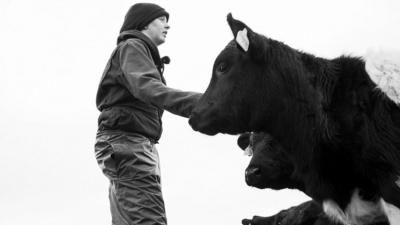 Farmer Annie James with her cows