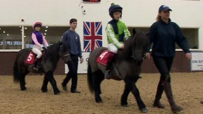 Shetland ponies and riderse