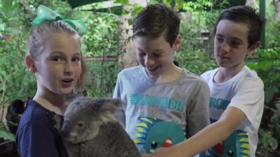 River, Cooper and Willow in the Gold Coast, Australia