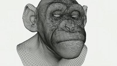 Creating an ape using visual effects