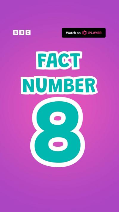 Fact Number 8