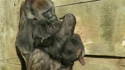 Romina and Afia cuddling