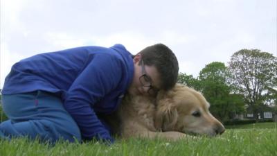 Therapy dog