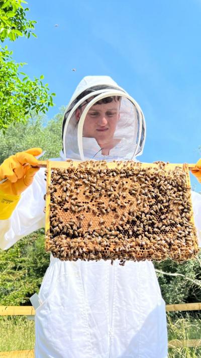 A man wearing a beekeepers outfit holding a comb of bees. There is a blue sky in the background.