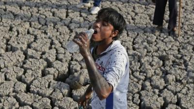 An Indian man drinks water as he removes dead fish and tries to rescue the surviving ones from the Vastrapur Lake that got dried up due to hot weather in Ahmadabad, India,