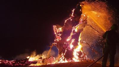 Oak tree on fire