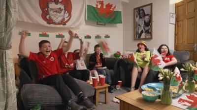 Welsh fans celebrate.