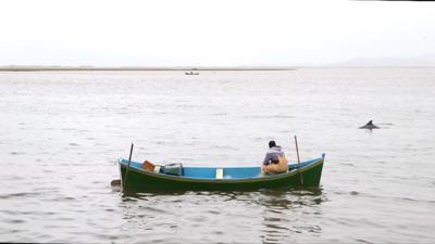 Dolphin fishermen