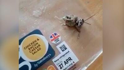 Locust found in supermarket salad