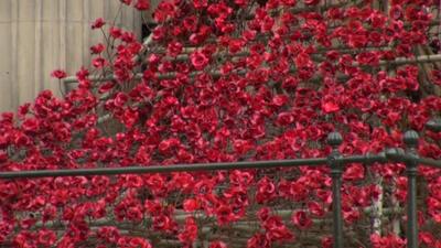 Cascade of ceramic poppies