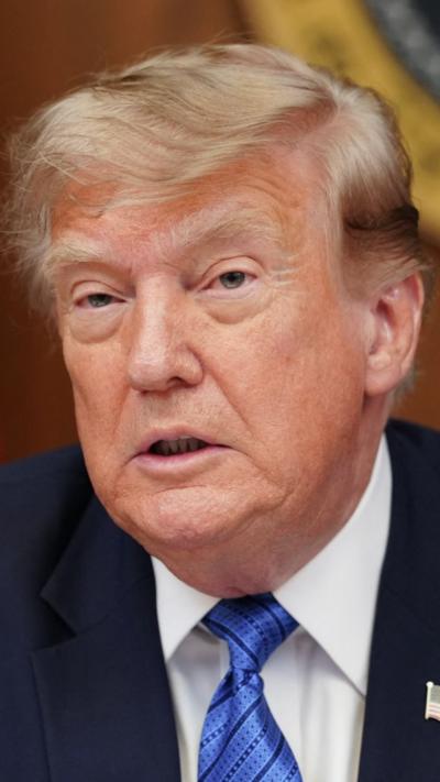Donald Trump wears a blue tie and suit looking into the camera.