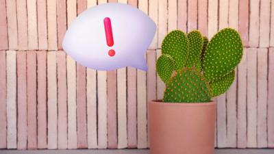 A potted cactus against a pink tiled wall emits an emoji speech bubble containing an excalamation mark