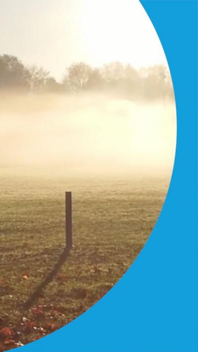 A misty field with trees in the distance and leaves on the grass. 