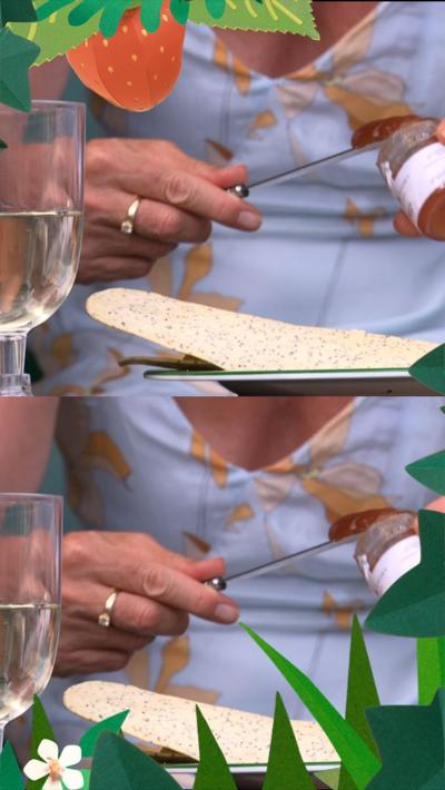 spectator with plate of food on court