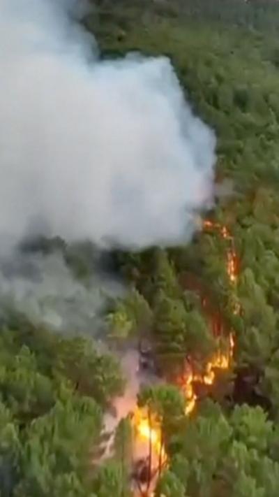 A streak of fire and smoke through a forest