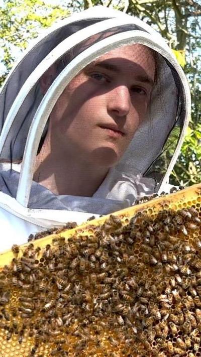 A man wearing a beekeeping suit and holding a wooden panel with bees on it