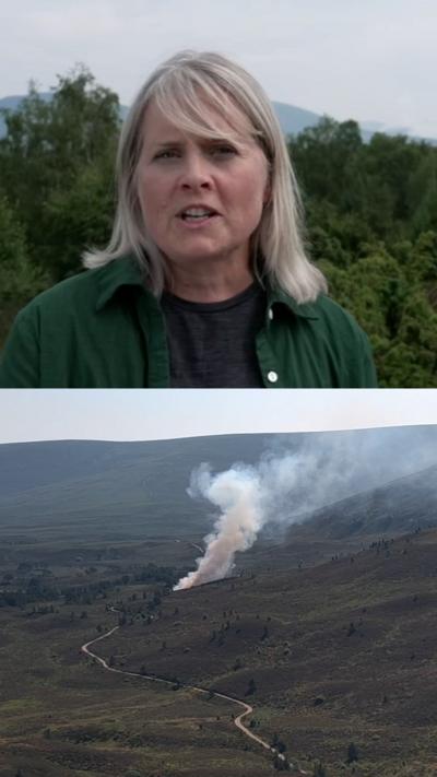 A reporter looking at the camera, and a picture of a wildfire beneath her