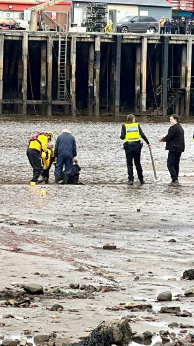 A woman is rescued from mud on a beach by people in high-vis