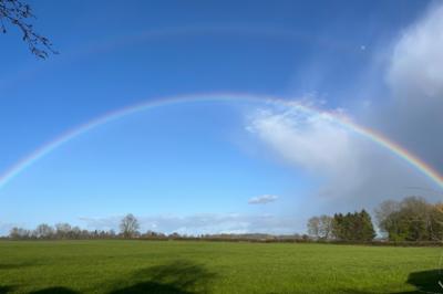 A vivid rainbow stretches across a bright blue sky over a green field, with trees along the horizon and clouds gathering to one side.