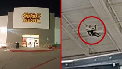 Split screen of a store on the left and on the right a red circle around a monkey hanging on the ceiling of a supermarket.