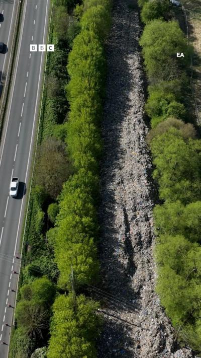 Two rows of trees with a large illegal waste dump inbetween.