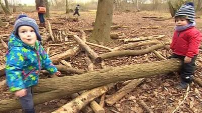 Kids playing in woodland