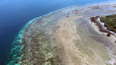 Great barrier reef