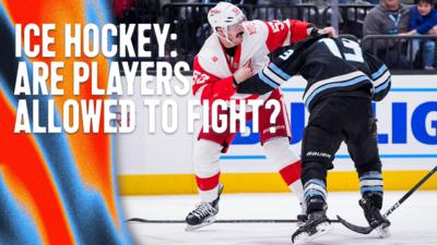 Ice Hockey players fight on the ice