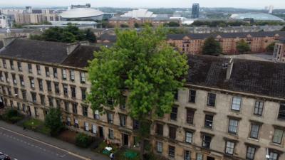 Row of Glasgow tenements from above with Argyll Ash in the middle and a panoramic view of Glasgow in the background