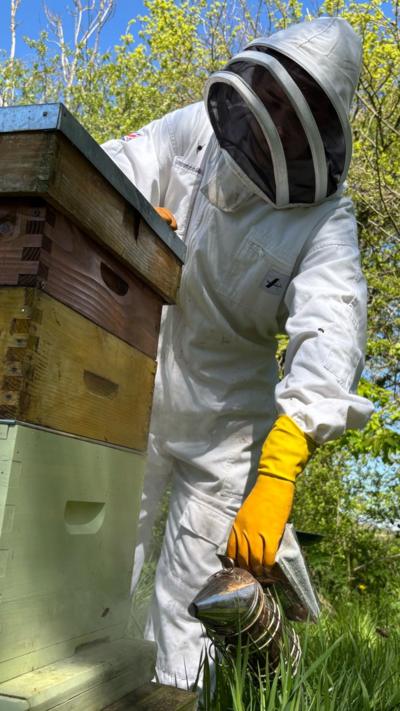 A beekeeper in white protective outift and yellow gloves stood next to a hive